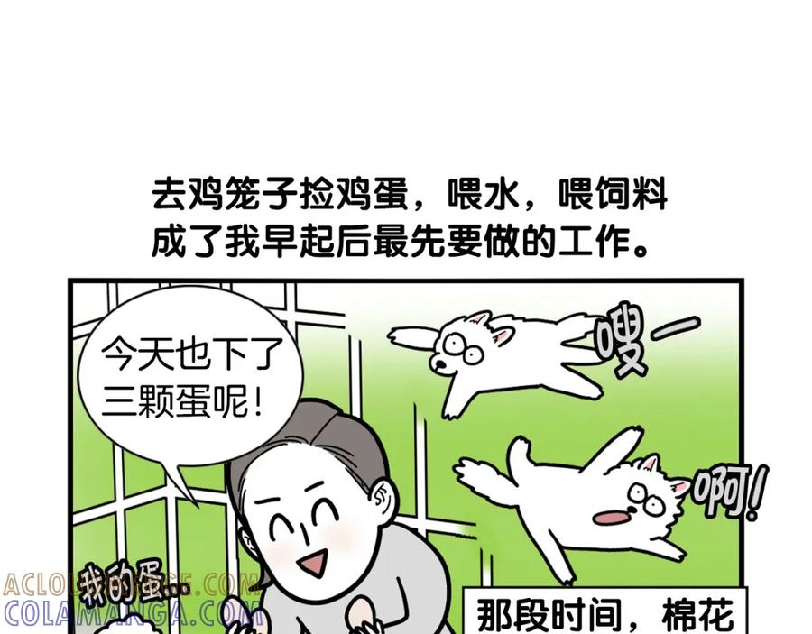 《我的狗子叫棉花》第31话 养鸡之旅 第31页