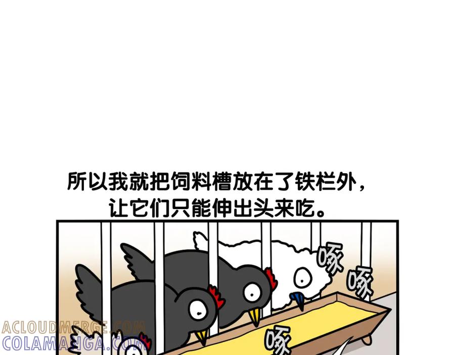 《我的狗子叫棉花》第31话 养鸡之旅 第91页