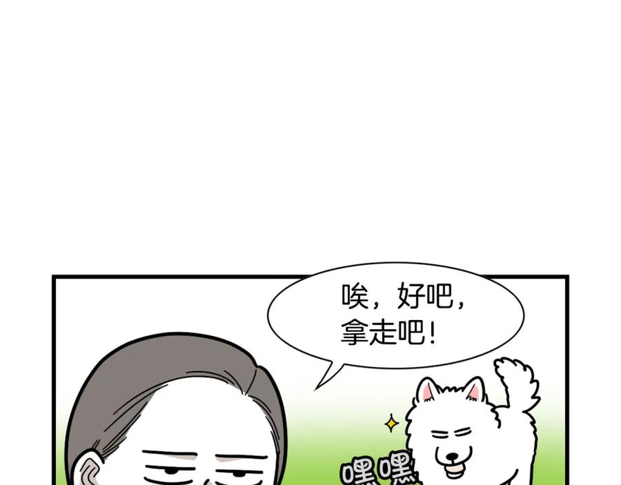《我的狗子叫棉花》第31话 养鸡之旅 第48页