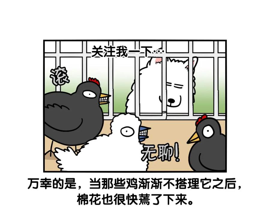 《我的狗子叫棉花》第31话 养鸡之旅 第29页