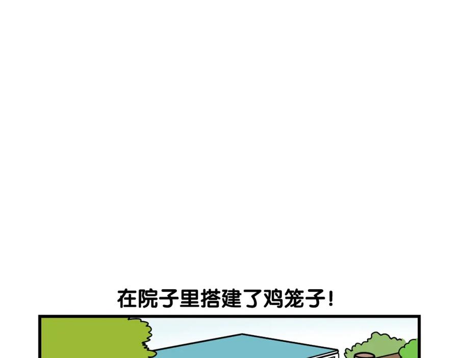 《我的狗子叫棉花》第31话 养鸡之旅 第5页