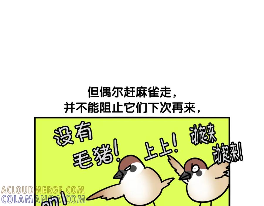 《我的狗子叫棉花》第31话 养鸡之旅 第85页