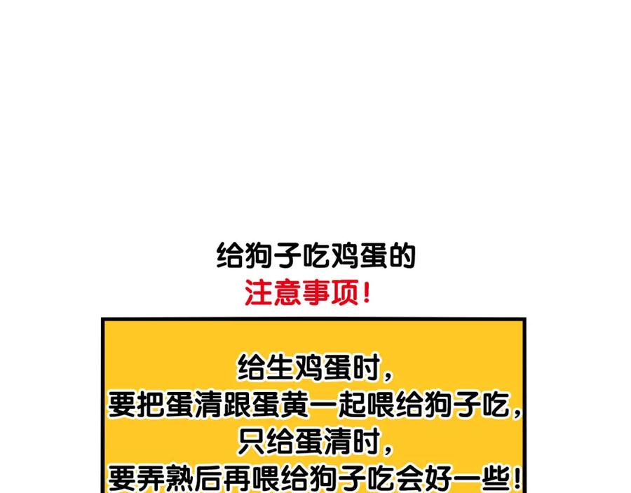 《我的狗子叫棉花》第31话 养鸡之旅 第57页