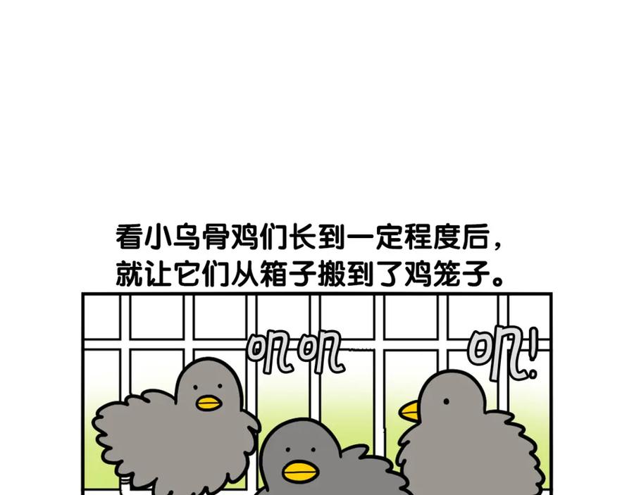 《我的狗子叫棉花》第32话 不适合做朋友 第35页