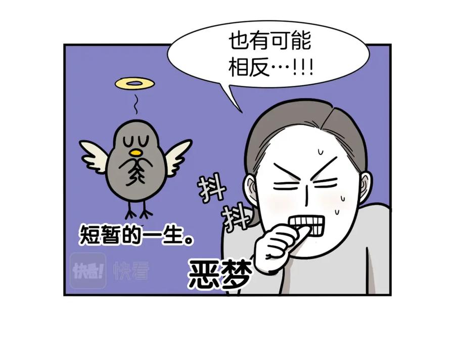 《我的狗子叫棉花》第32话 不适合做朋友 第17页