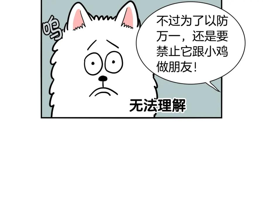 《我的狗子叫棉花》第32话 不适合做朋友 第32页