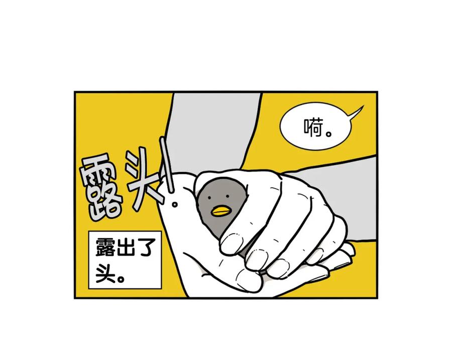《我的狗子叫棉花》第32话 不适合做朋友 第24页