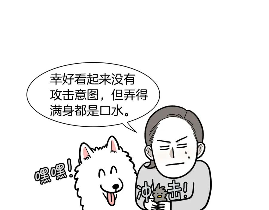 《我的狗子叫棉花》第32话 不适合做朋友 第30页
