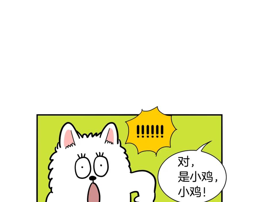 《我的狗子叫棉花》第32话 不适合做朋友 第11页