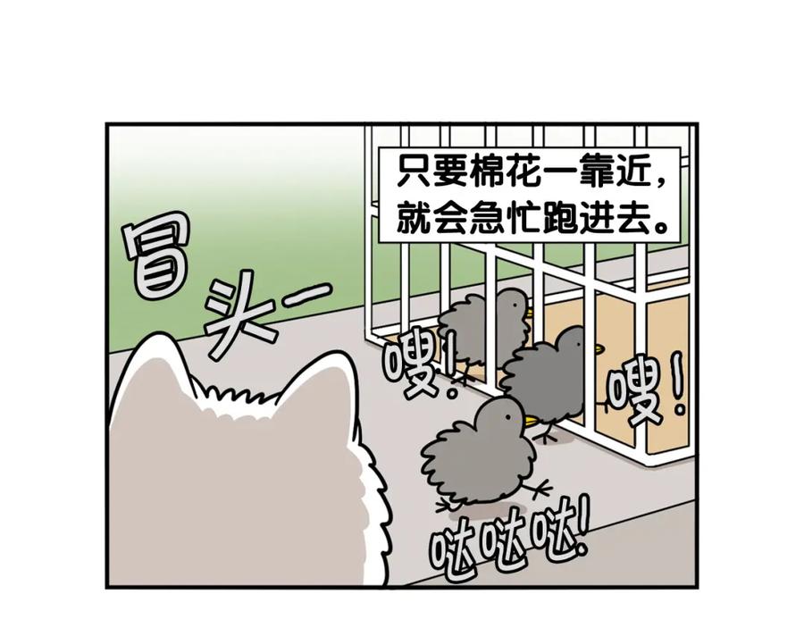《我的狗子叫棉花》第32话 不适合做朋友 第54页