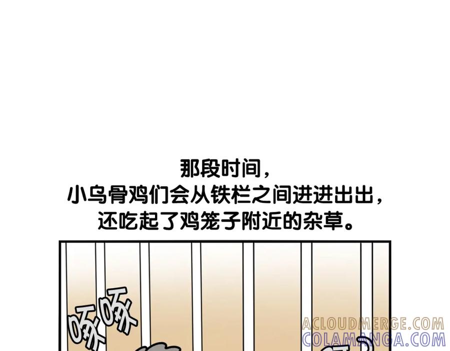 《我的狗子叫棉花》第32话 不适合做朋友 第52页
