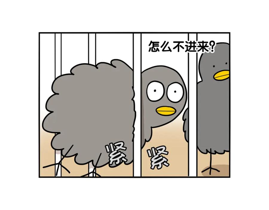 《我的狗子叫棉花》第32话 不适合做朋友 第62页