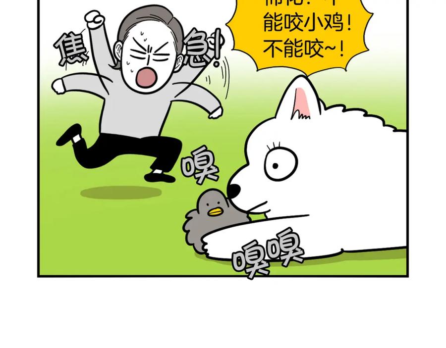 《我的狗子叫棉花》第32话 不适合做朋友 第77页