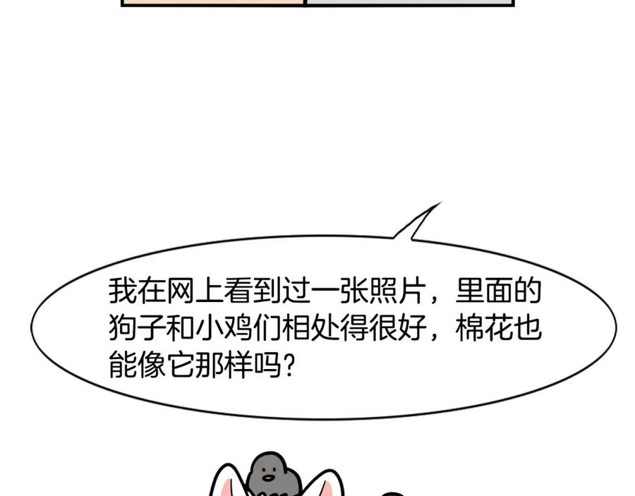 《我的狗子叫棉花》第32话 不适合做朋友 第15页