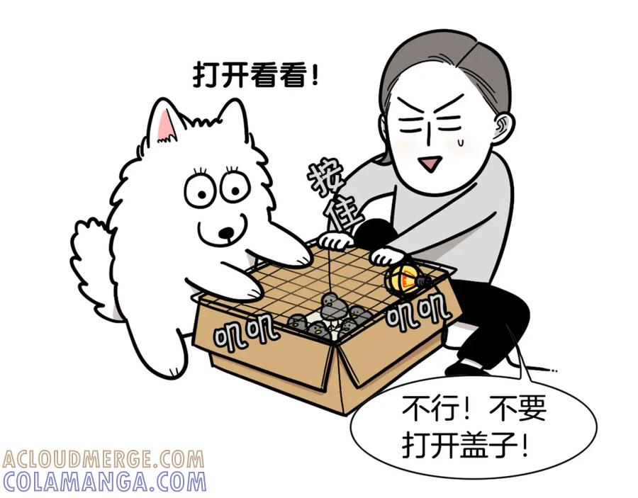 《我的狗子叫棉花》第32话 不适合做朋友 第13页