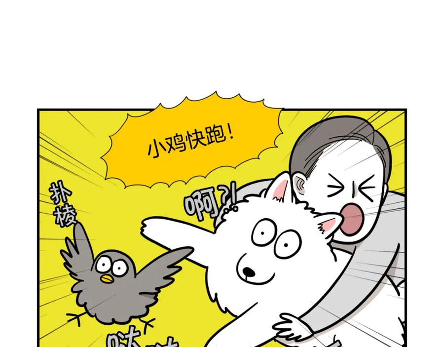 《我的狗子叫棉花》第32话 不适合做朋友 第81页