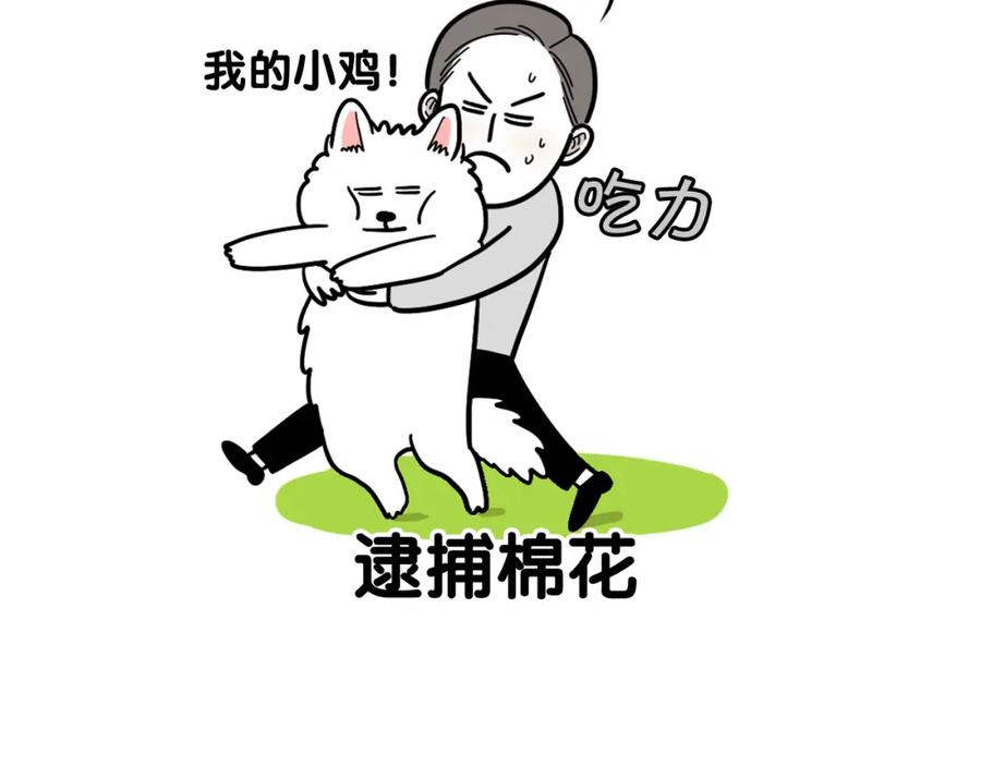 《我的狗子叫棉花》第32话 不适合做朋友 第83页