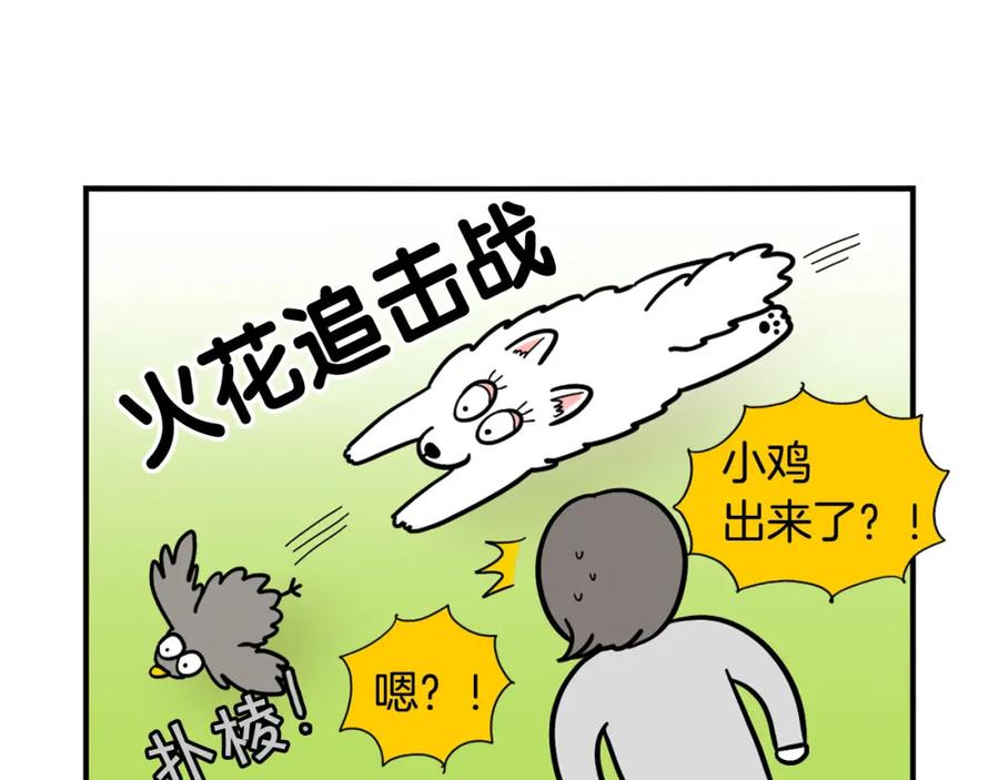 《我的狗子叫棉花》第32话 不适合做朋友 第69页