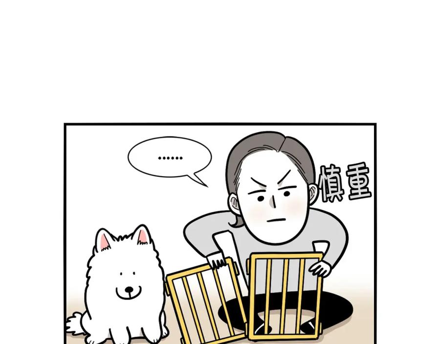 《我的狗子叫棉花》第33话 训练上厕所 第39页