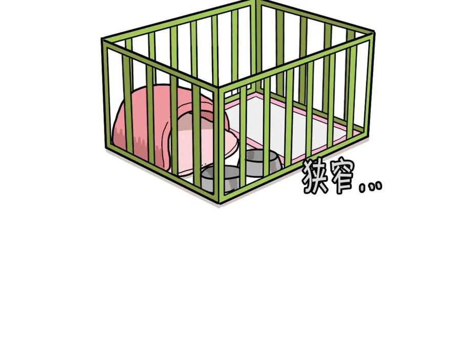 《我的狗子叫棉花》第33话 训练上厕所 第71页