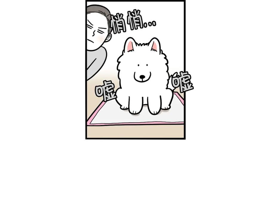 《我的狗子叫棉花》第33话 训练上厕所 第18页