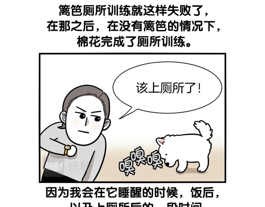《我的狗子叫棉花》第33话 训练上厕所 第66页