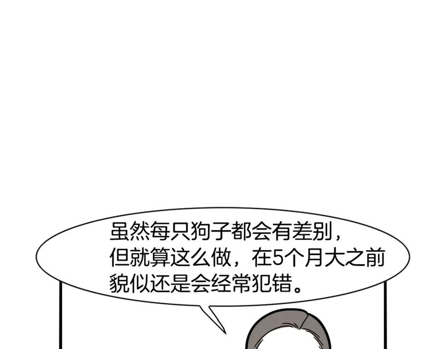 《我的狗子叫棉花》第33话 训练上厕所 第20页