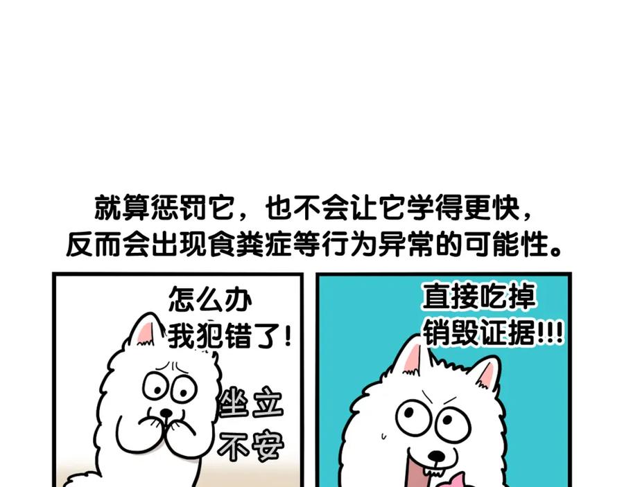 《我的狗子叫棉花》第33话 训练上厕所 第75页