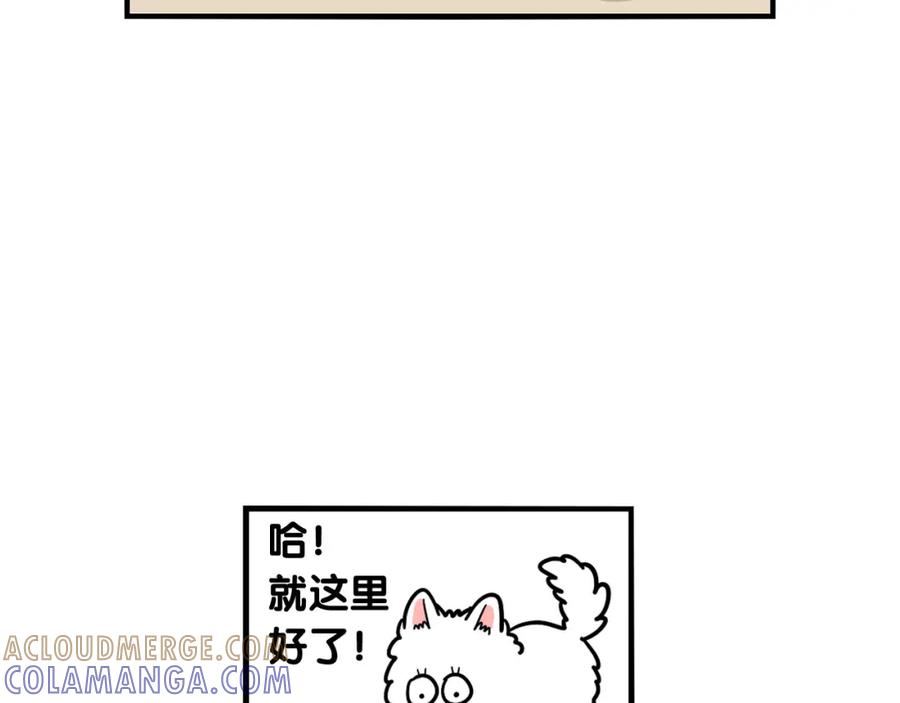 《我的狗子叫棉花》第33话 训练上厕所 第16页