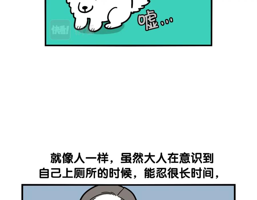 《我的狗子叫棉花》第33话 训练上厕所 第26页