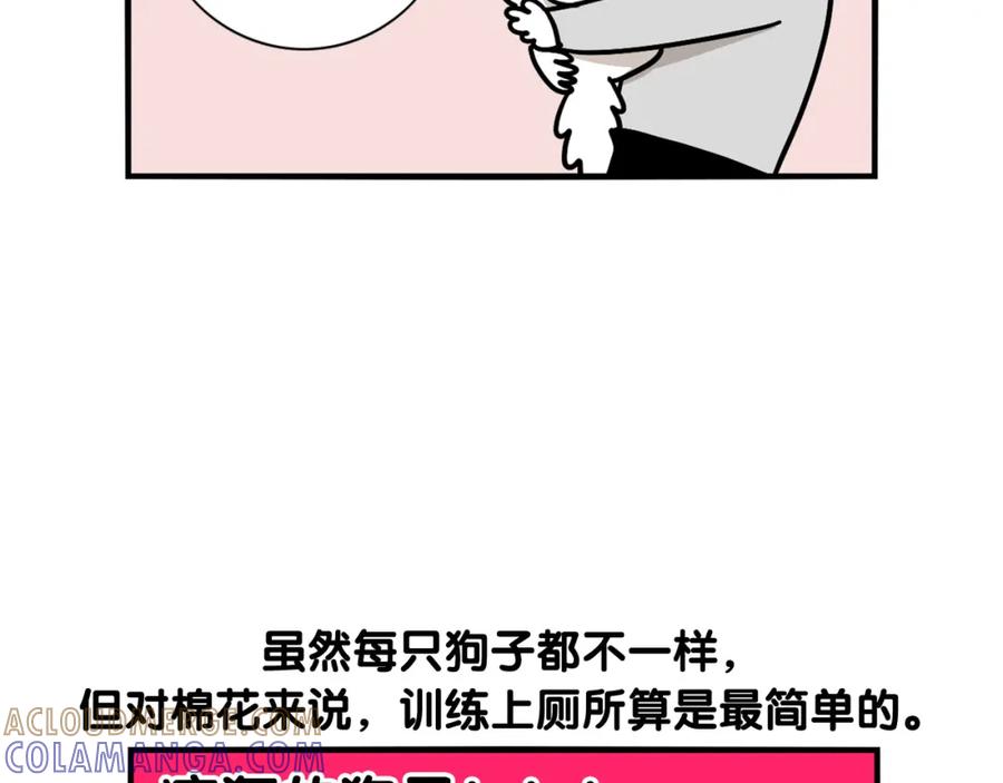 《我的狗子叫棉花》第33话 训练上厕所 第10页