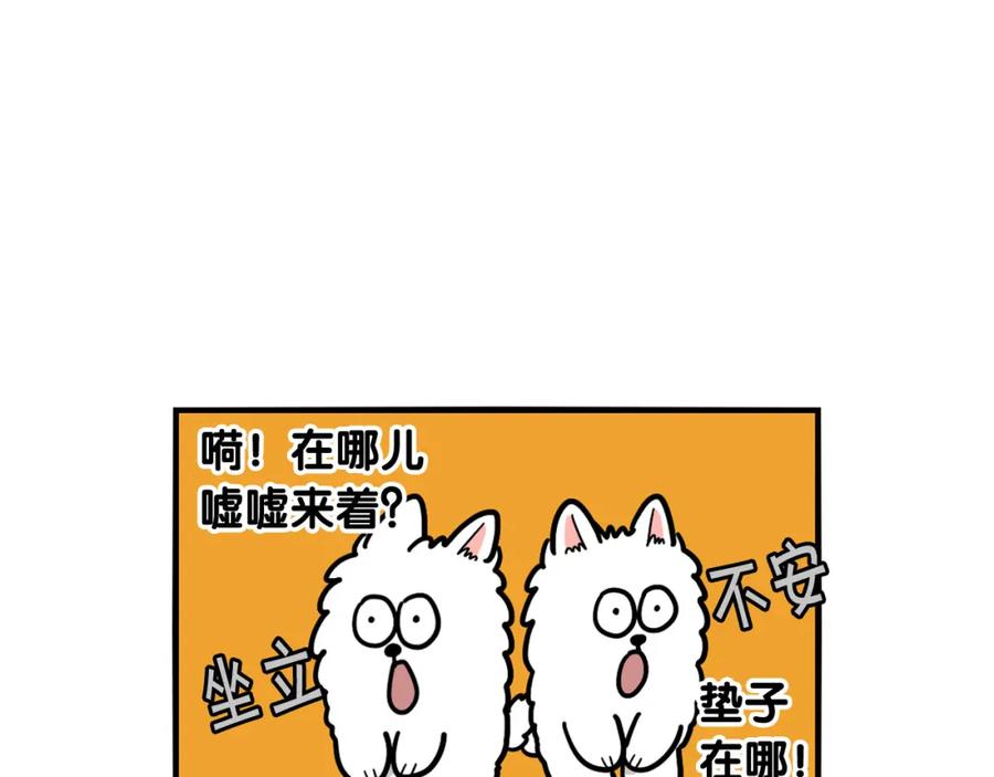 《我的狗子叫棉花》第33话 训练上厕所 第24页