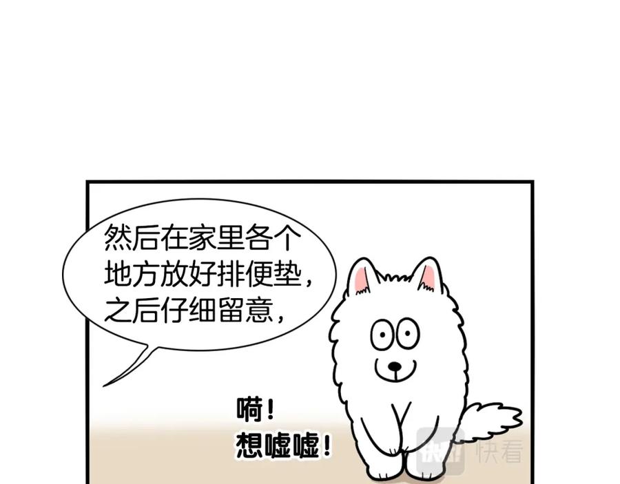 《我的狗子叫棉花》第33话 训练上厕所 第15页