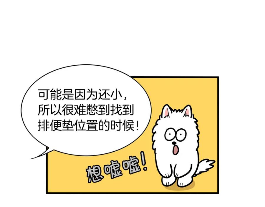 《我的狗子叫棉花》第33话 训练上厕所 第23页