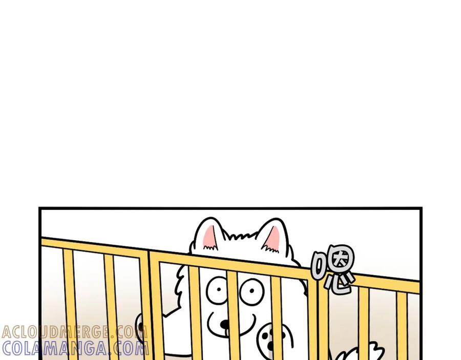 《我的狗子叫棉花》第33话 训练上厕所 第58页