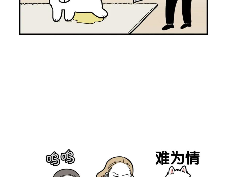《我的狗子叫棉花》第33话 训练上厕所 第6页