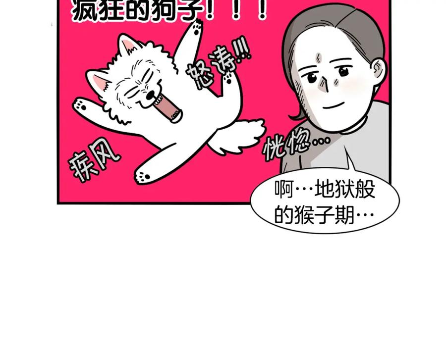 《我的狗子叫棉花》第33话 训练上厕所 第11页