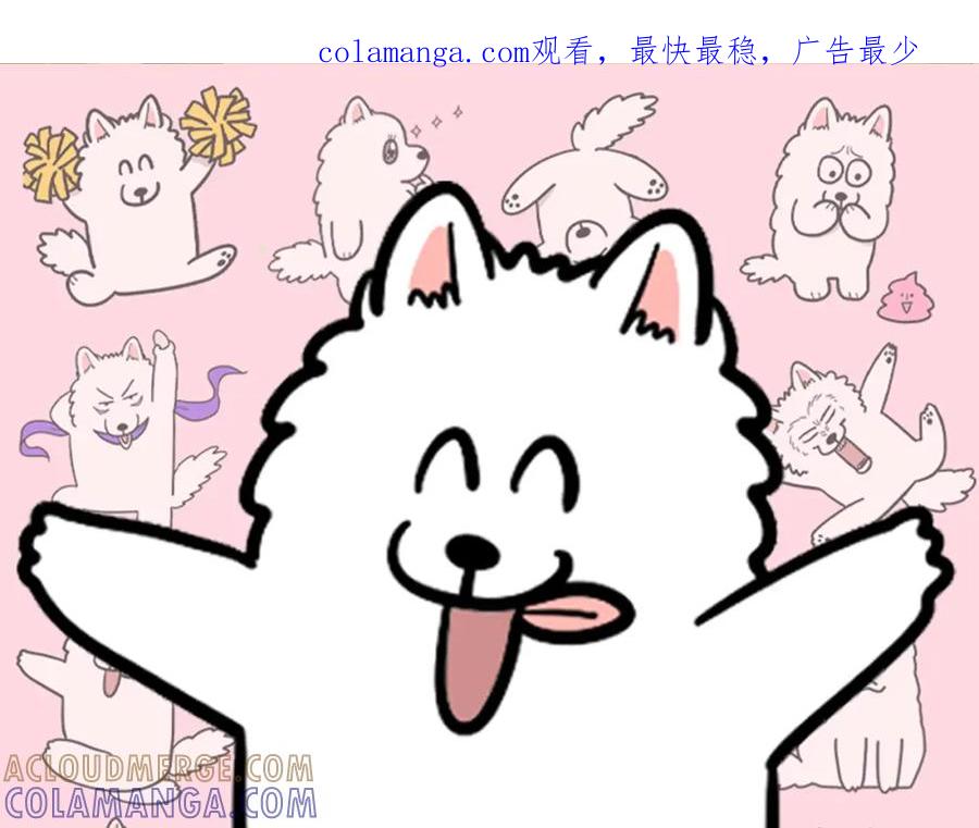 《我的狗子叫棉花》第33话 训练上厕所 第1页