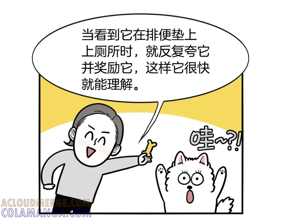 《我的狗子叫棉花》第33话 训练上厕所 第19页