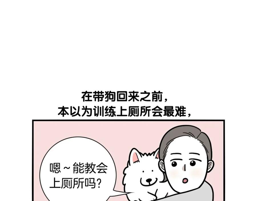 《我的狗子叫棉花》第33话 训练上厕所 第9页