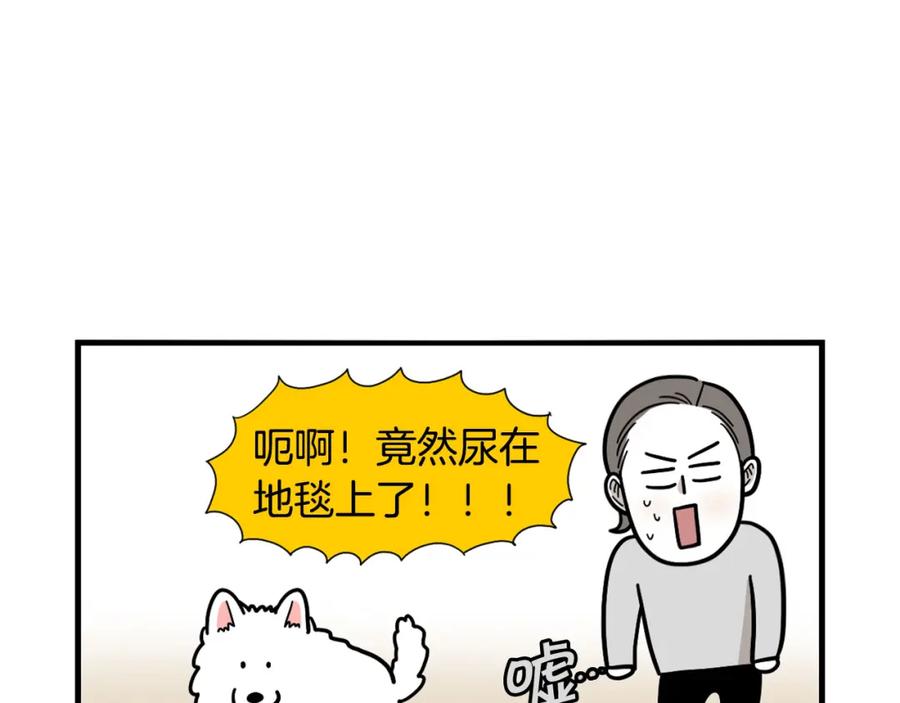 《我的狗子叫棉花》第33话 训练上厕所 第5页