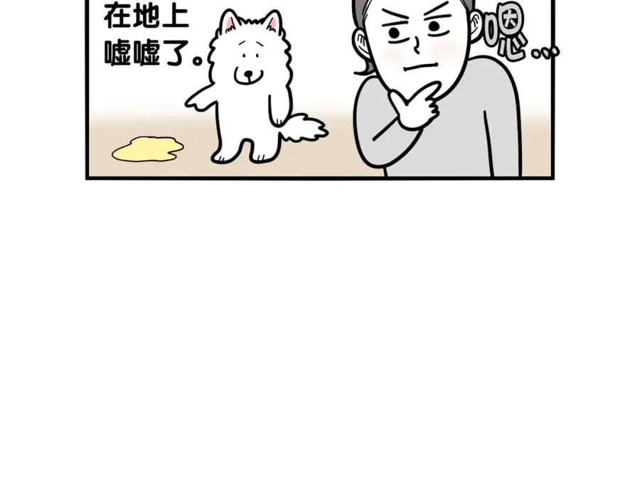 《我的狗子叫棉花》第33话 训练上厕所 第21页