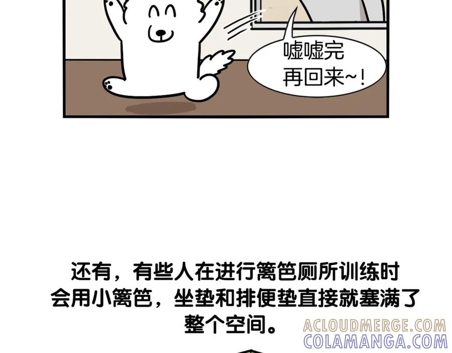 《我的狗子叫棉花》第33话 训练上厕所 第70页