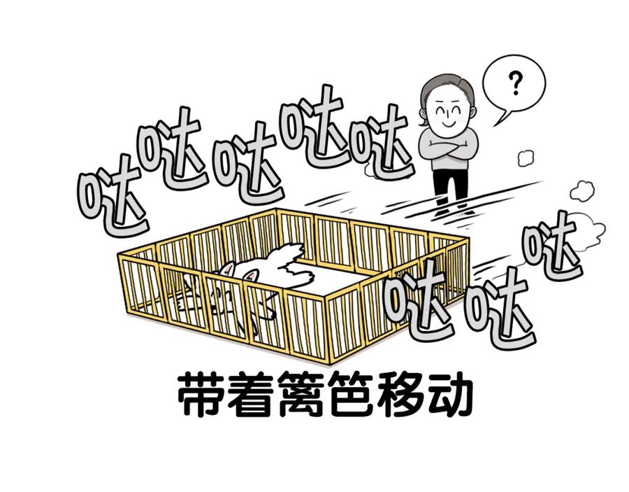 《我的狗子叫棉花》第33话 训练上厕所 第54页