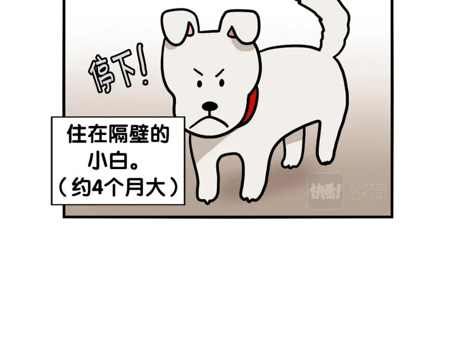 《我的狗子叫棉花》第34话 捡屎好难 第84页