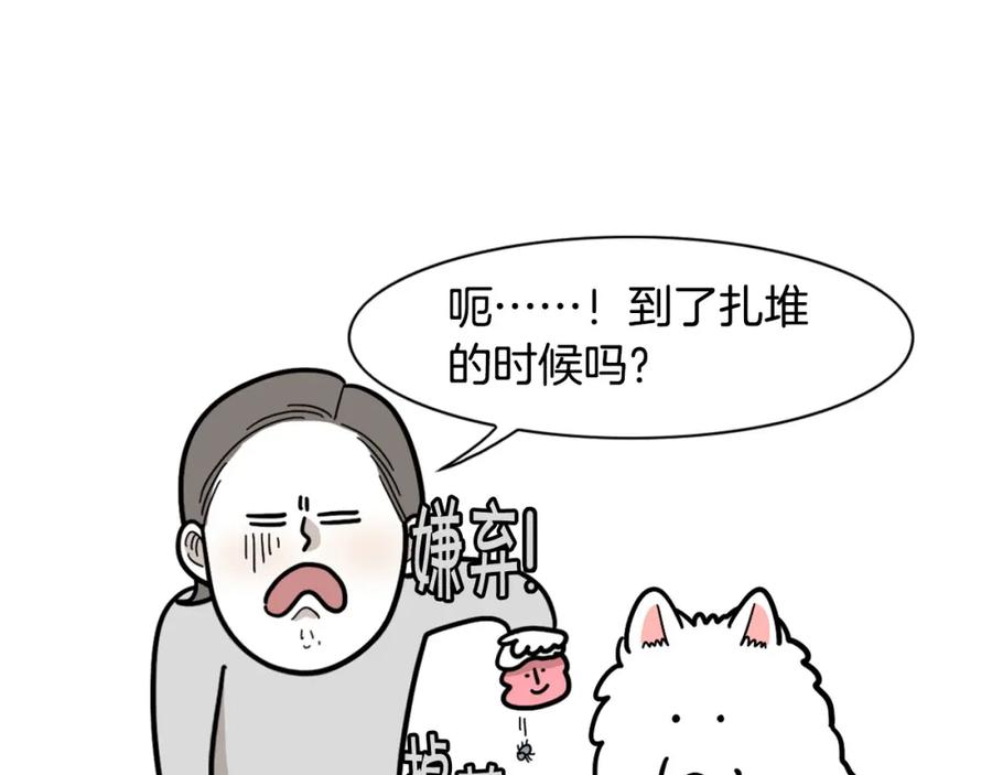 《我的狗子叫棉花》第34话 捡屎好难 第66页