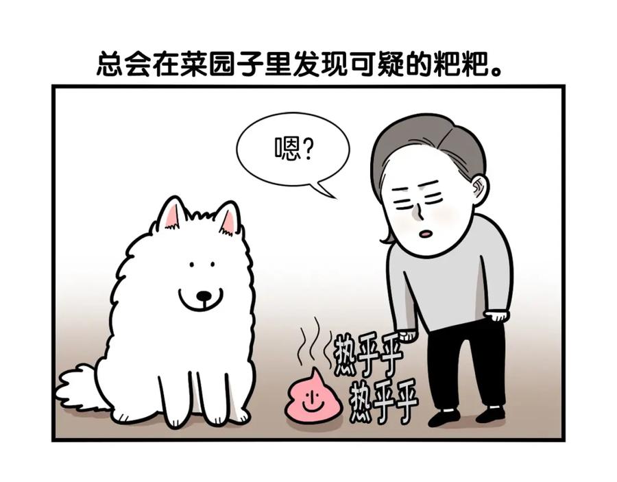 《我的狗子叫棉花》第34话 捡屎好难 第76页