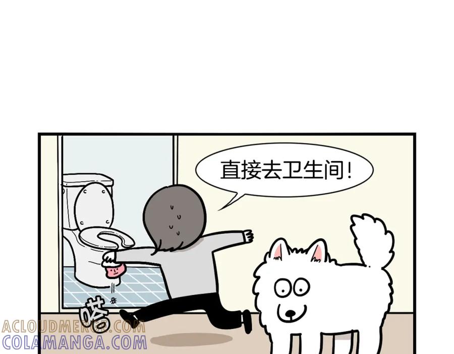 《我的狗子叫棉花》第34话 捡屎好难 第69页