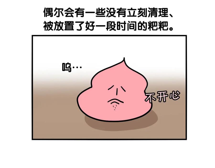 《我的狗子叫棉花》第34话 捡屎好难 第43页