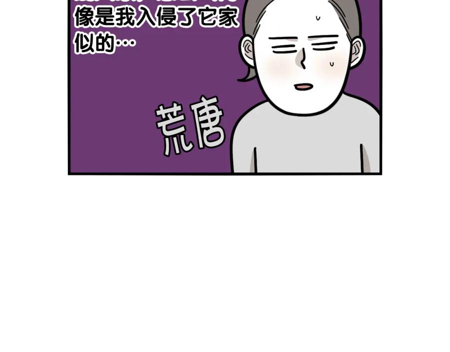 《我的狗子叫棉花》第34话 捡屎好难 第92页